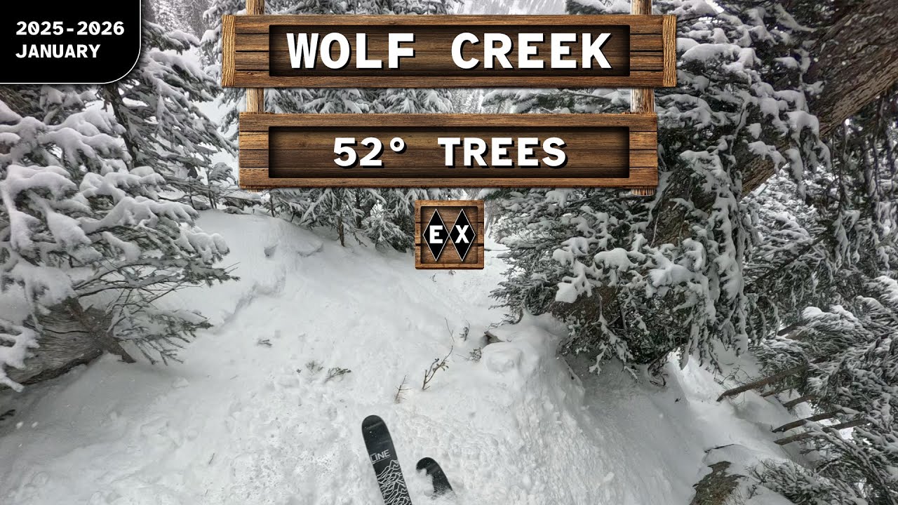 Wolf Creek ♢♢ 52° Trees (Waterfall Area)