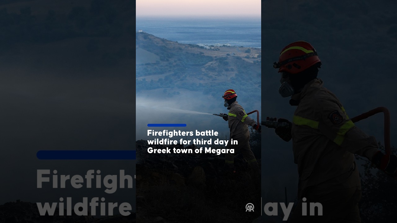 Firefighters battle wildfire for third day in Greek town of Megara