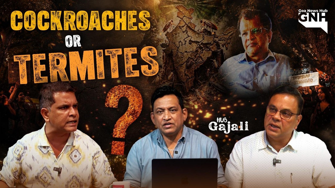 COCKROACHES OR TERMITES? | HUB GAJALI | 21/07/2026 | GNH