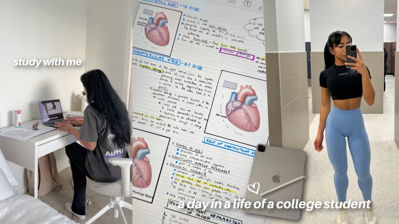 COLLEGE DAY IN A LIFE: *productive day,* studying, and upper-body workout!
