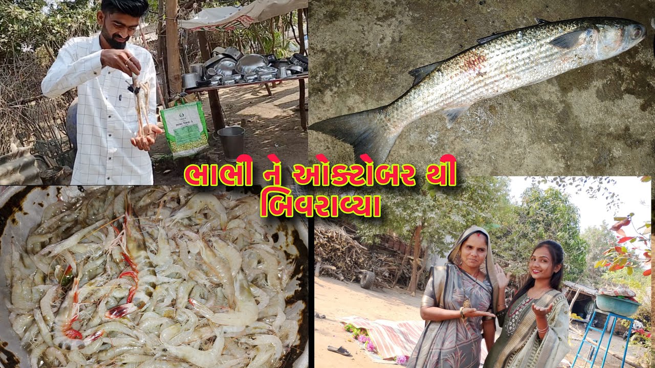 મોટી માછલી આવી બે ટાઈમ નું શાક કેટલું બધું સે🦐🦀🦞