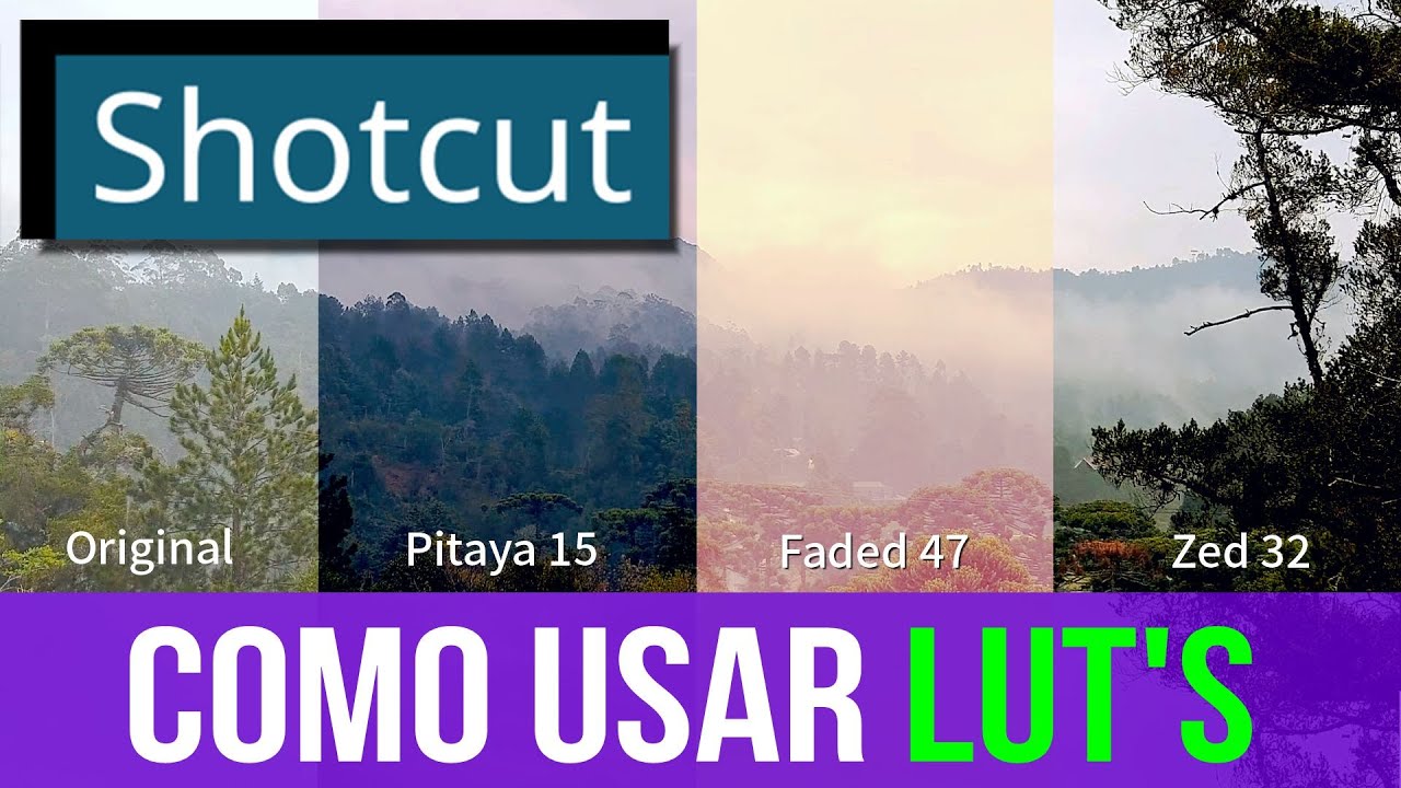 COMO USAR LUT'S no SHOTCUT | Maisvideomundo #76