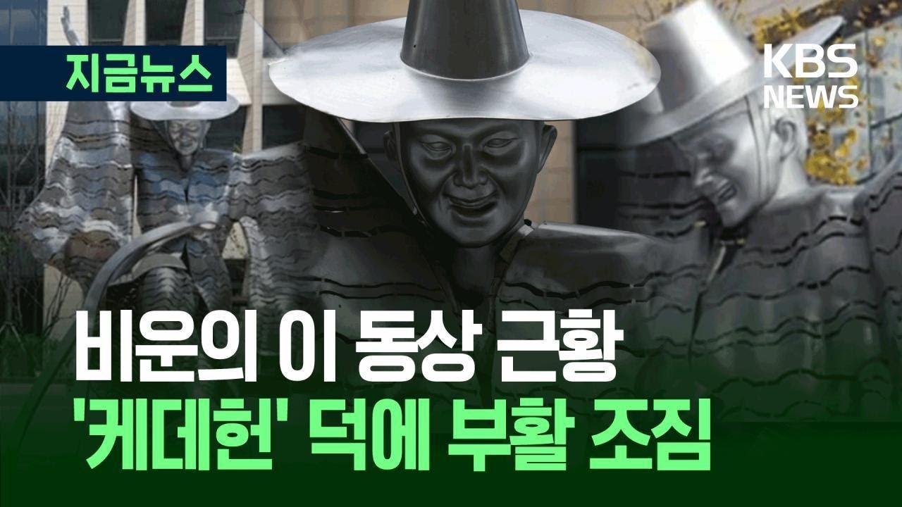 [지금뉴스] &ldquo;기괴하다&rdquo; 철거한 &lsquo;세종 저승사자&rsquo;, &ldquo;꺼내주세요&rdquo; 반전 근황 / KBS 2025.09.04.