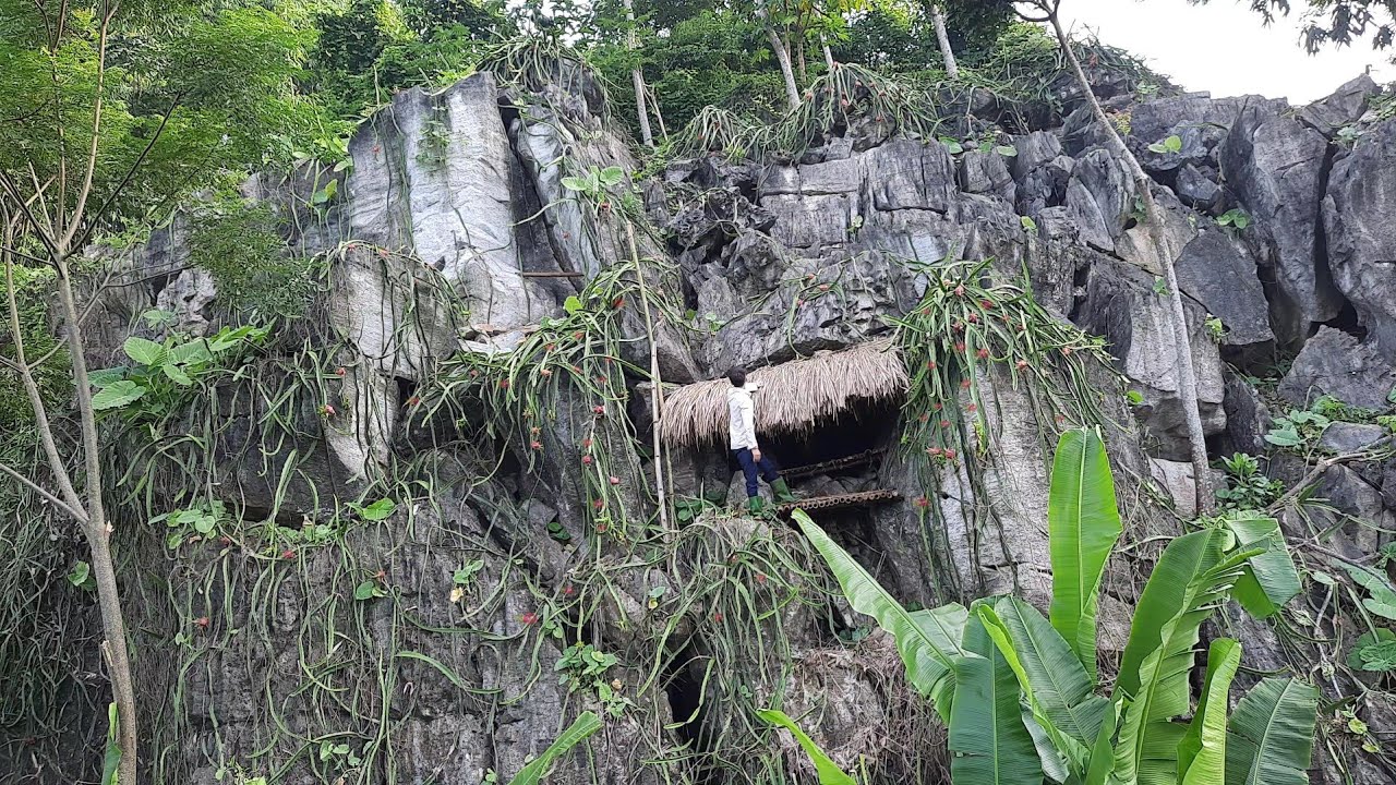full video:grow and harvest dragon fruit, build bamboo hut, build farm life, live with nature