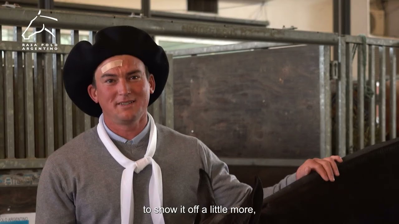 En estas palabras, Argentino Buzinska destaca las virtudes de la Gran Campeona DOLFI NEBULOSA