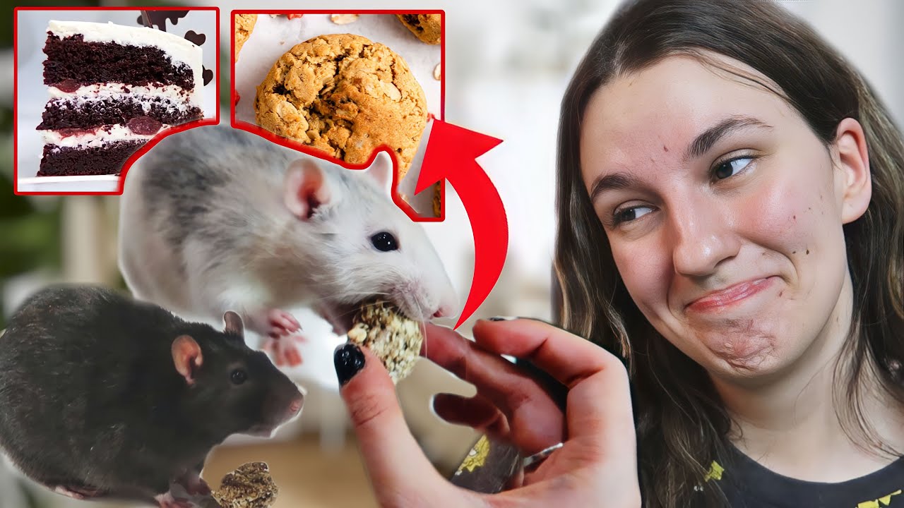 Zkouším upéct PAMLSKY pro POTKANY! *chutnalo jim?*