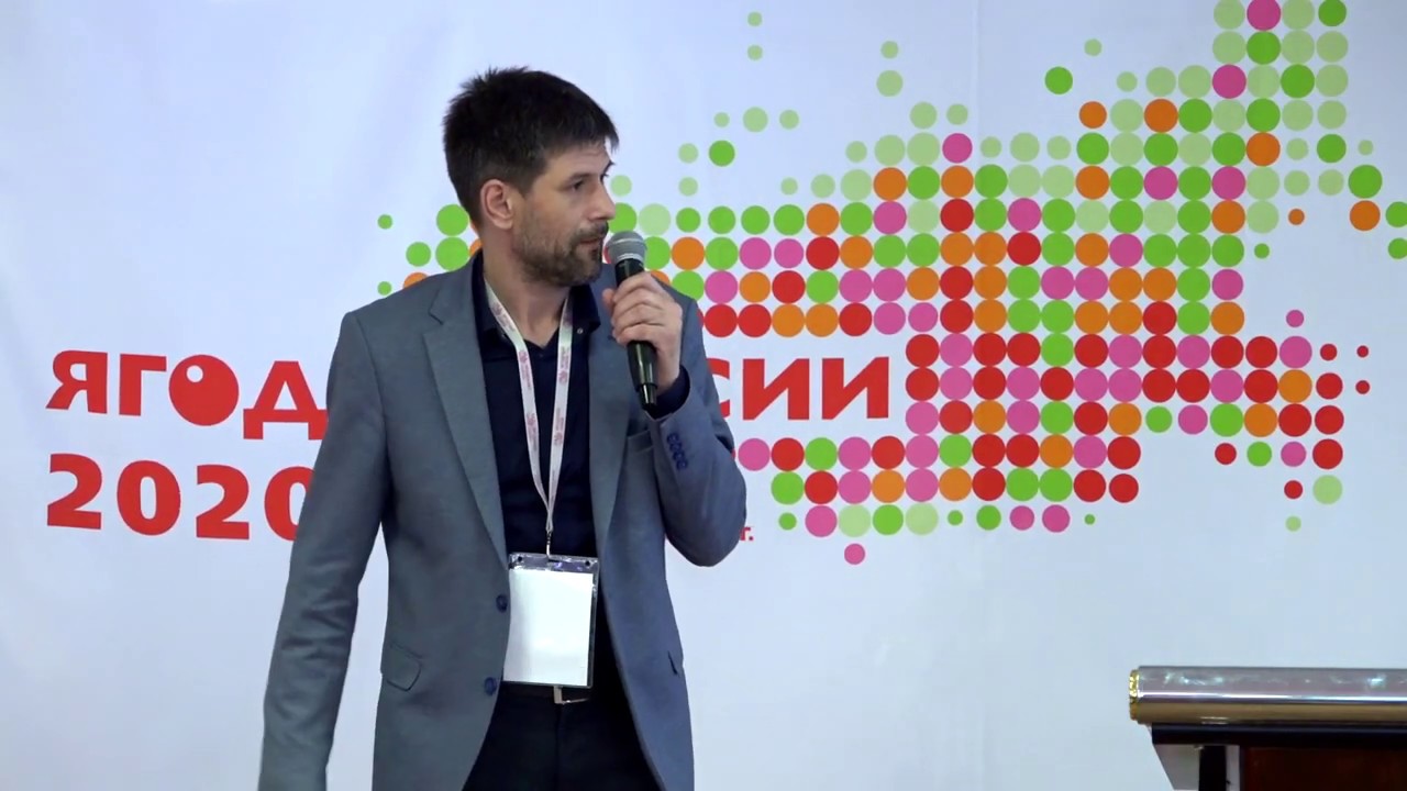 Перспективы промышленного выращивания жимолости - Артем Сорокин, Ассоциация производителей жимолости