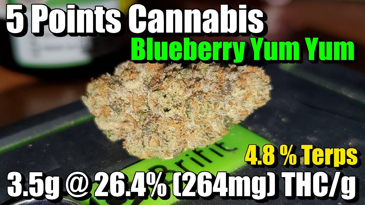 5 Points Cannabis - Blueberry Yum Yum - Unboxing Review - 3.5G @ 26.4% THC/g (+Extreme Closeups)