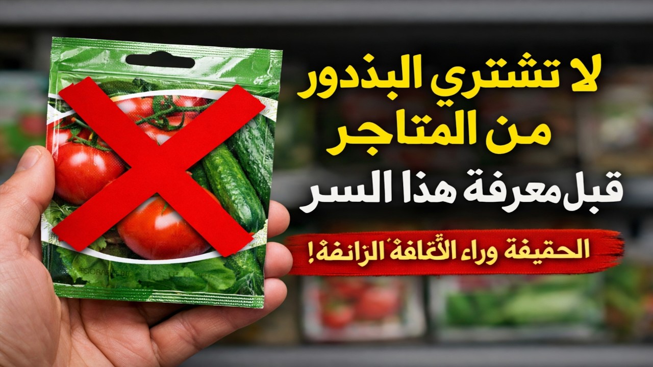 لا تشترِ البذور من المتاجر قبل أن تعرف هذا السر! ⛔ الحقيقة الصادمة وراء الأغلفة الملونة.