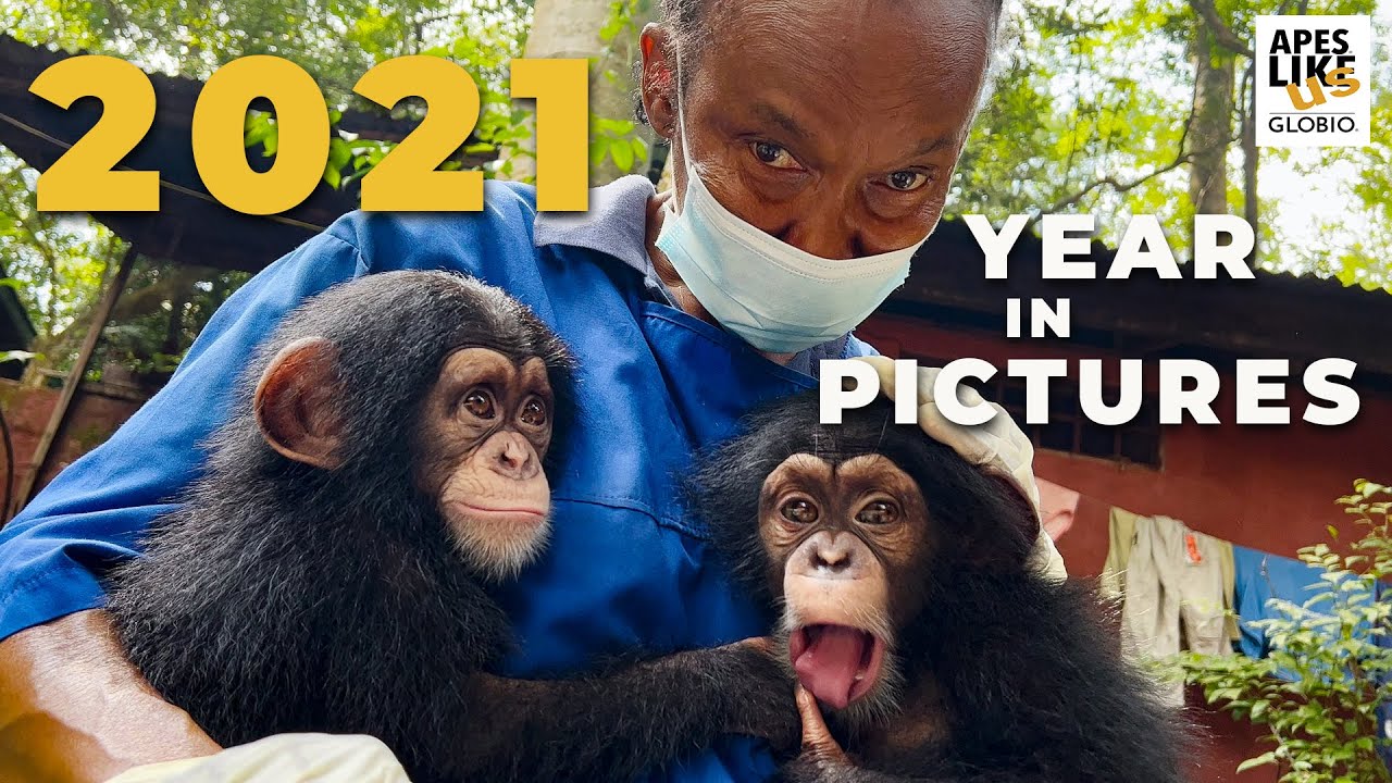 2021: A Year in Pictures