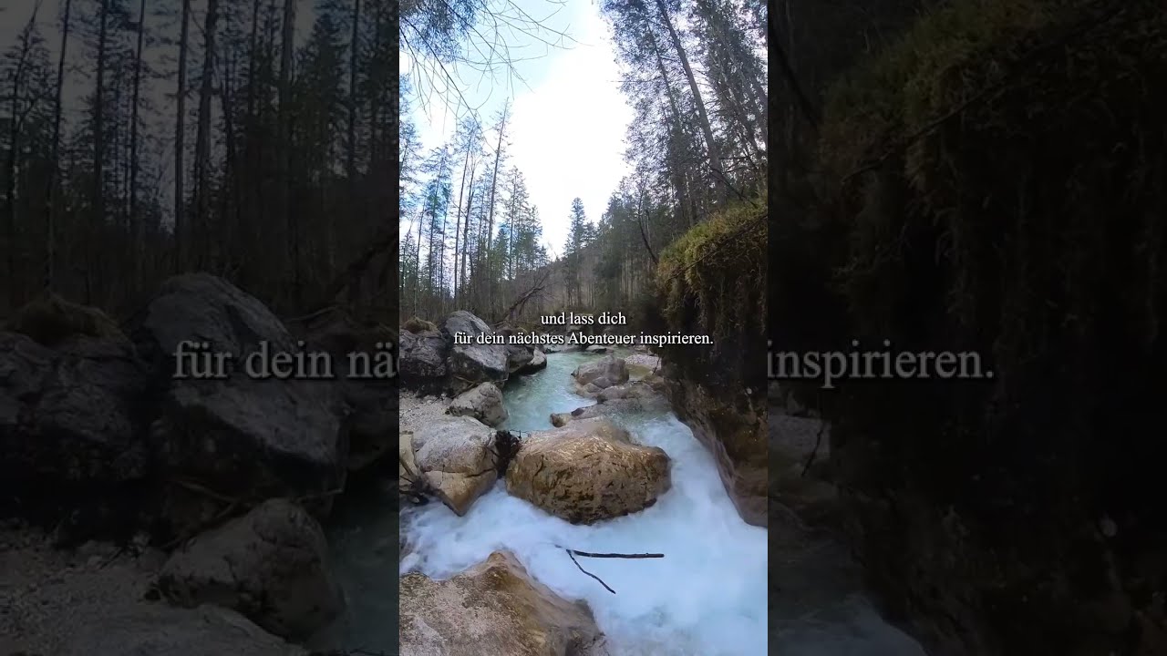 Zauberwald und Hintersee: Eine leichte Wanderung mit gro&szlig;em Erlebnis
