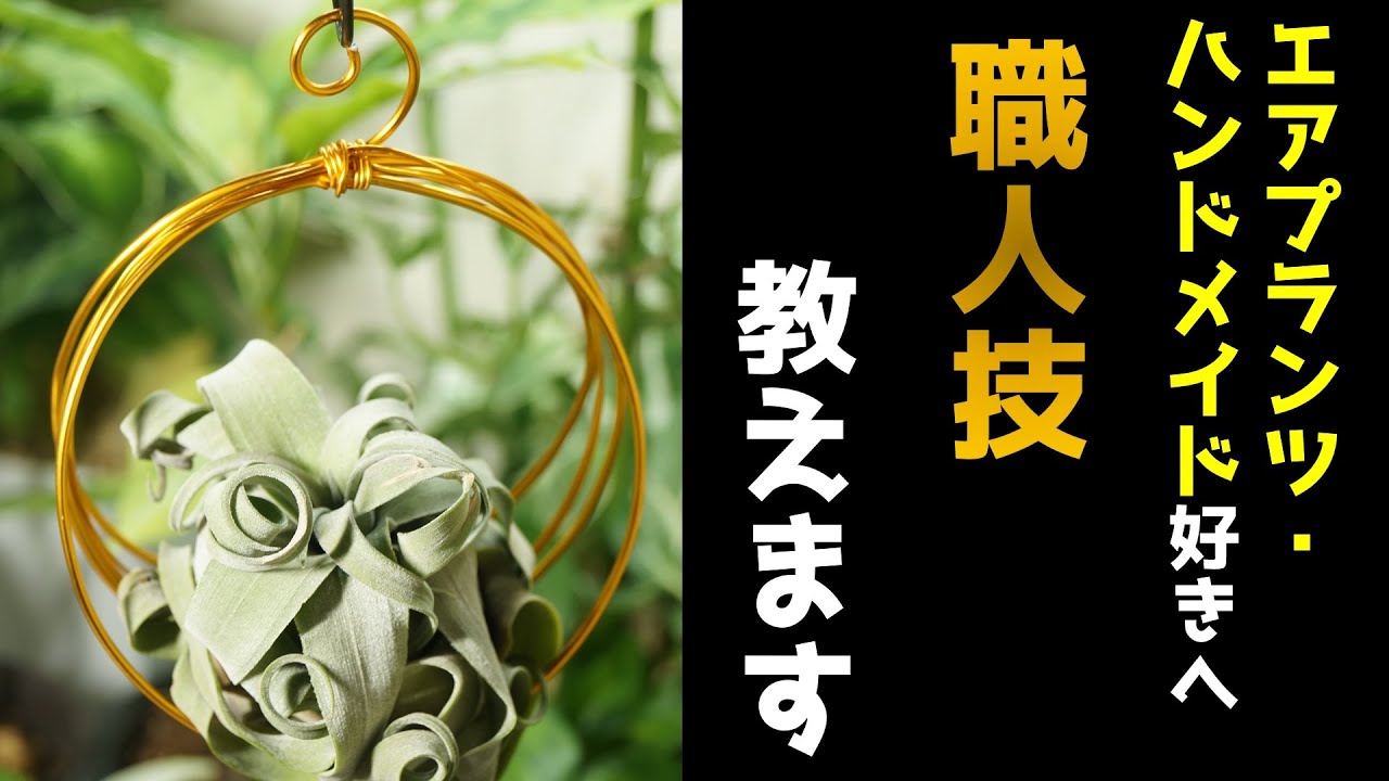 【園芸をさらに楽しむ！】エアプランツをお洒落に飾るワイヤークラフトの作り方【人気観葉植物チランジア】【ハンドメイド】