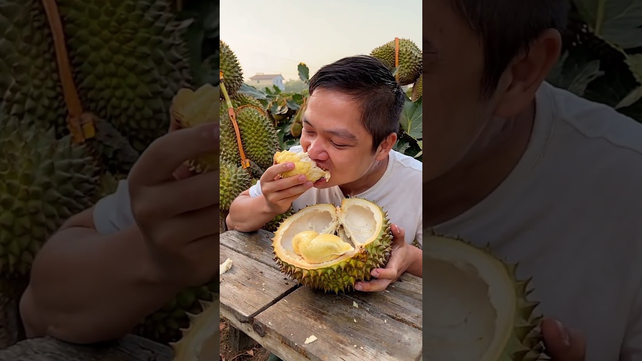 Creamy Durian | Durian Farm All You Can Eat #asmr #mukbang #durianfarm #durianbuffet #durianmukbang