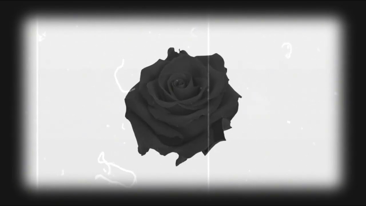 Official Lil KD - Falling Out Of Love (Official Audio)