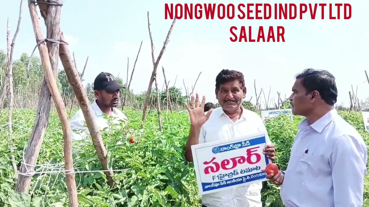 Nongwoo seed ind pvt ltd Tamato salaar
