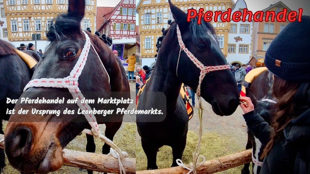 TRADITION PUR 🐎 Pferdehandel | Der 333.Leonberger Pferdemarkt 2026🤝Ursprung einer langen Tradition