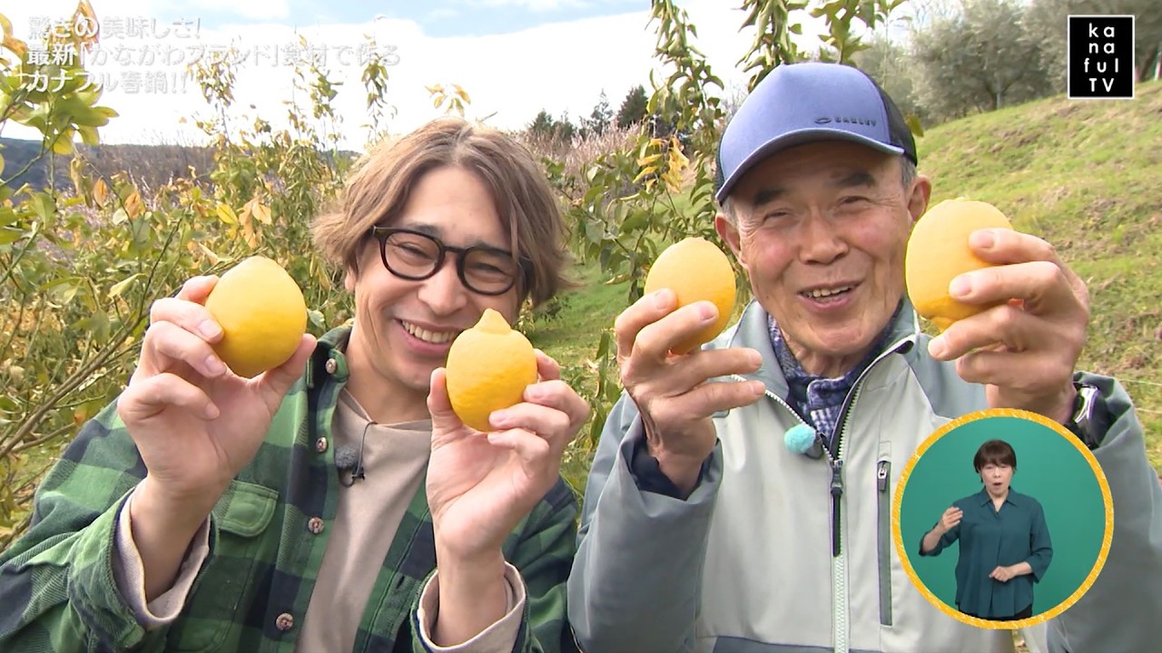 カナフルTV　3月15日　驚きの美味しさ！最新「かながわブランド」食材で作る カナフル春鍋！！