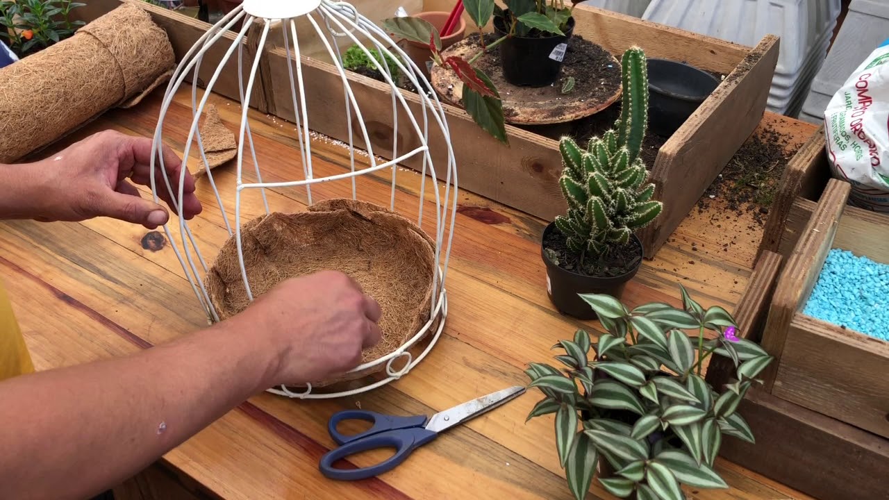 Como montar uma gaiola com plantas