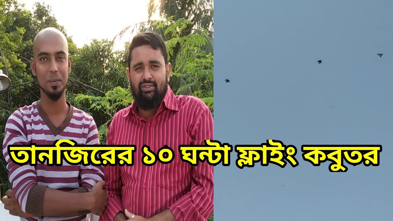 তানজিরের ১০ ঘন্টা ফ্লাইং কবুতর উরার ফুল ভিডিও। রাজশাহী বিভাগের কবুতর পরিচয় পর্ব-৭।