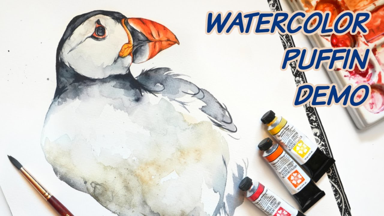 Watercolor Puffin Video - Realism combined with loose watercolors