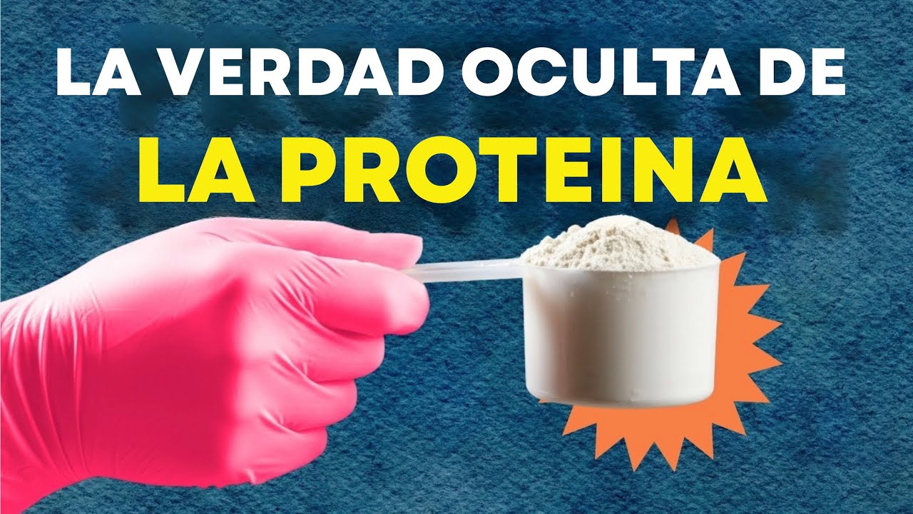 ¿Qué Es Lo que Necesitamos de La Protenia Realmente?