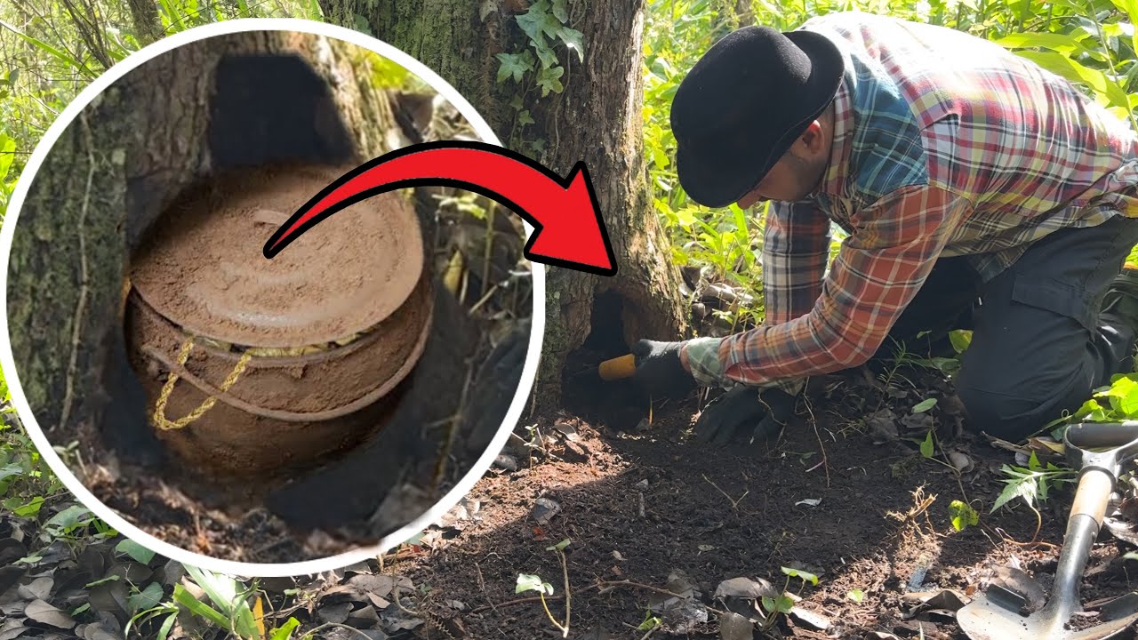 Panela com Tesouro dentro de uma &aacute;rvore foi encontrado