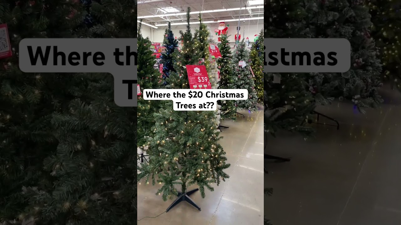‼️WHERE THE $20 CHRISTMAS TREES THIS YEAR #shortsvideo #christmas  #christmastree