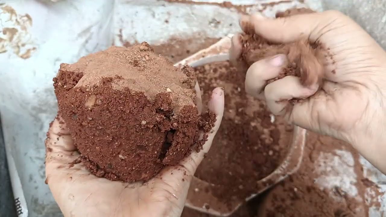 Reddit crunchy texture crumbling || dusty crunchy reddit || smell so good 