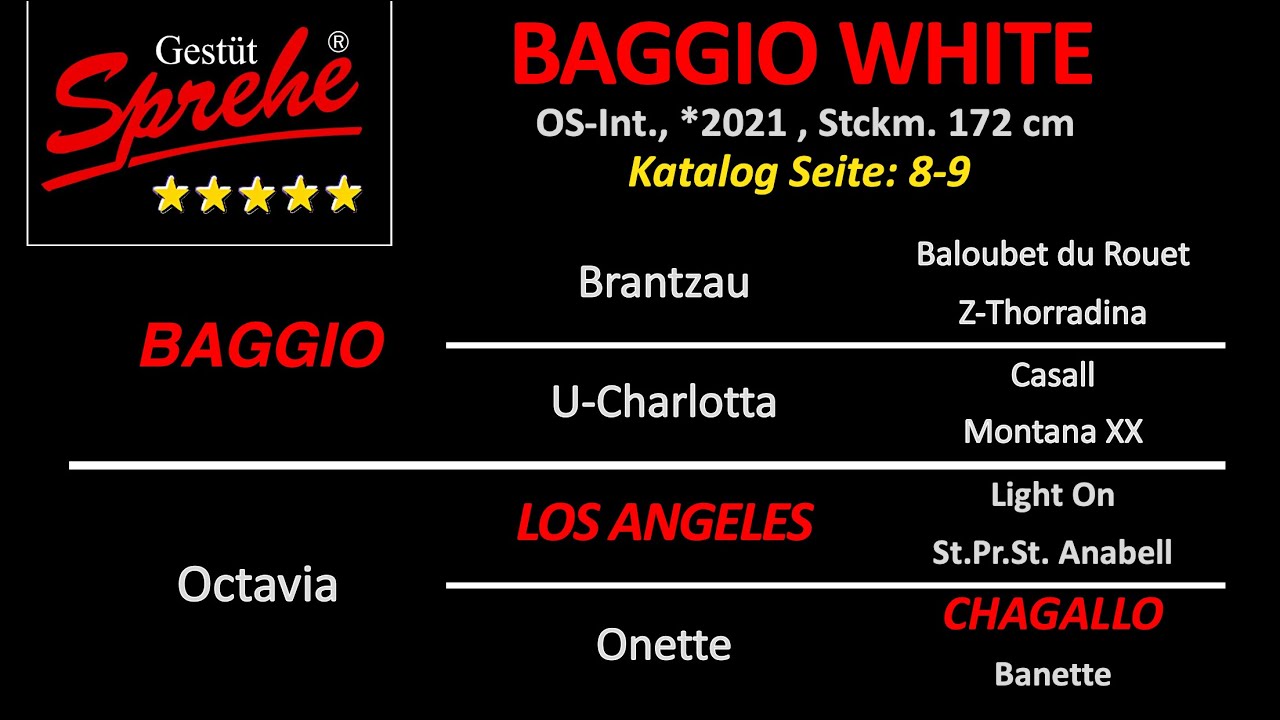 Baggio White v. Baggio - Los Angeles