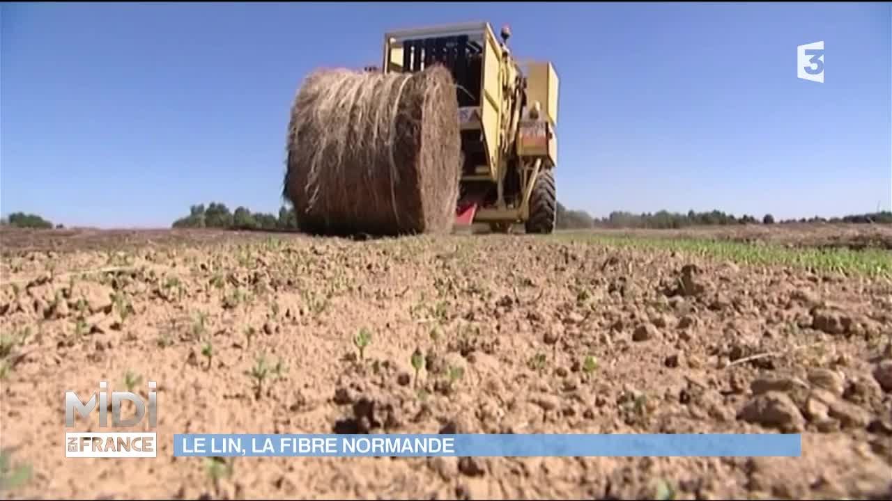 Le lin, la fibre normande