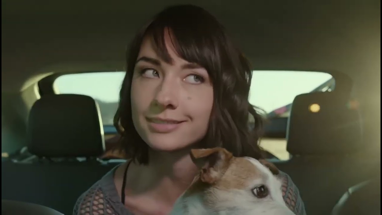 Castores Zombies - Zombeavers Pelicula Completa Espa&ntilde;ol Latino
