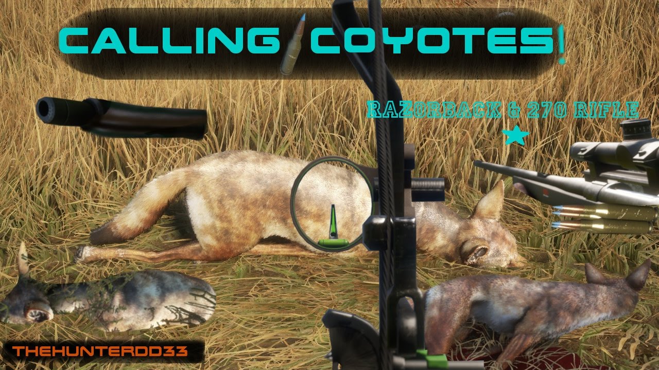 CALL OF THE WILD!!  *Calling Coyotes*   THEHUNTER 2017