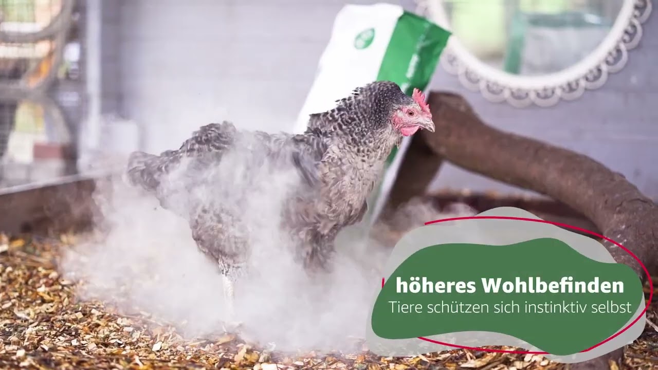 Cumbasil Mite nat&uuml;rlicher Schutz gegen die rote Vogelmilbe