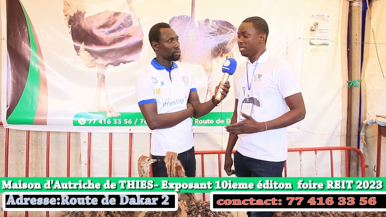 Foire de Thies : Reportage au Stand Maison d'Autriche chez Dane Fall