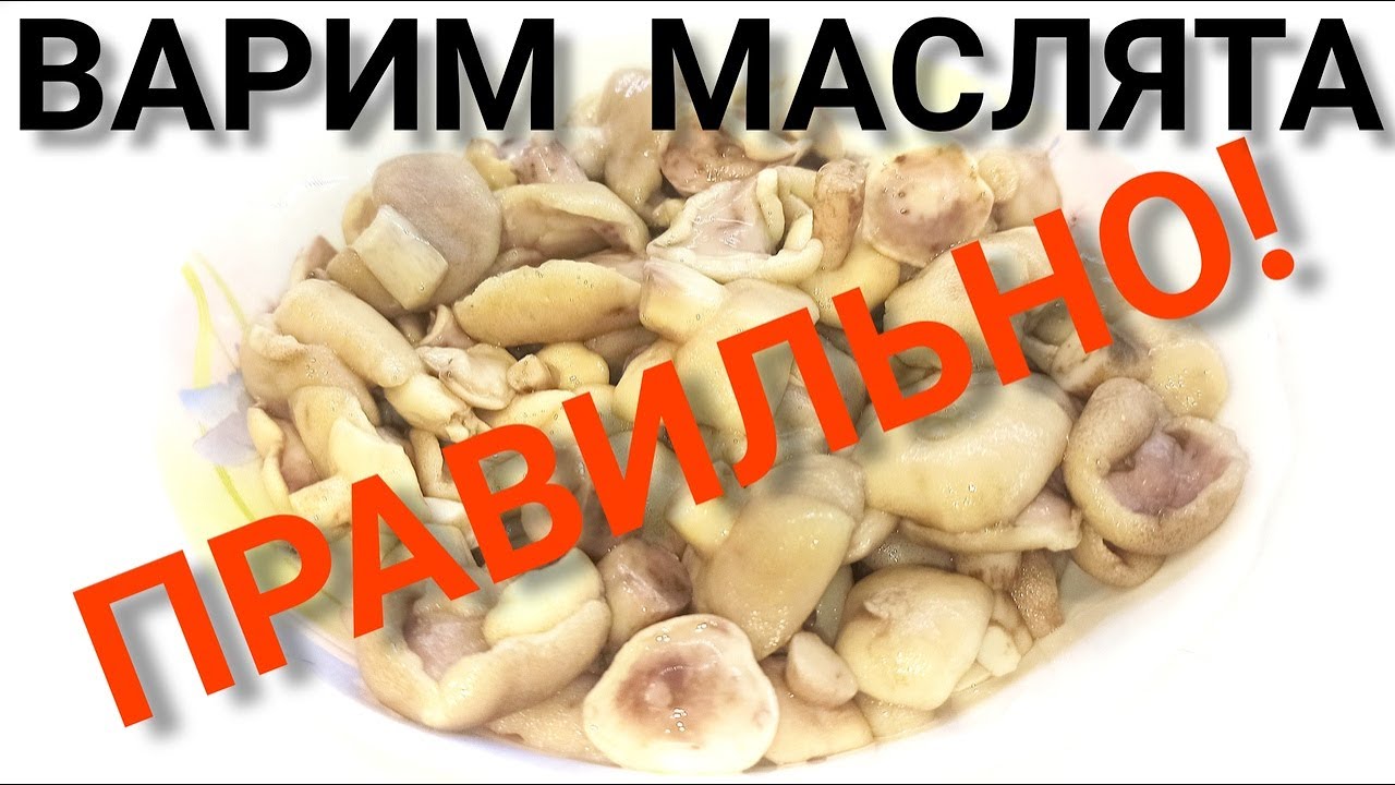 ВАРКА МАСЛЯТ ПЕРЕД ЗАМОРОЗКОЙ! ПЕРЕБИРАЕМ и ЧИСТИМ  грибы МАСЛЯТА ПРАВИЛЬНО!