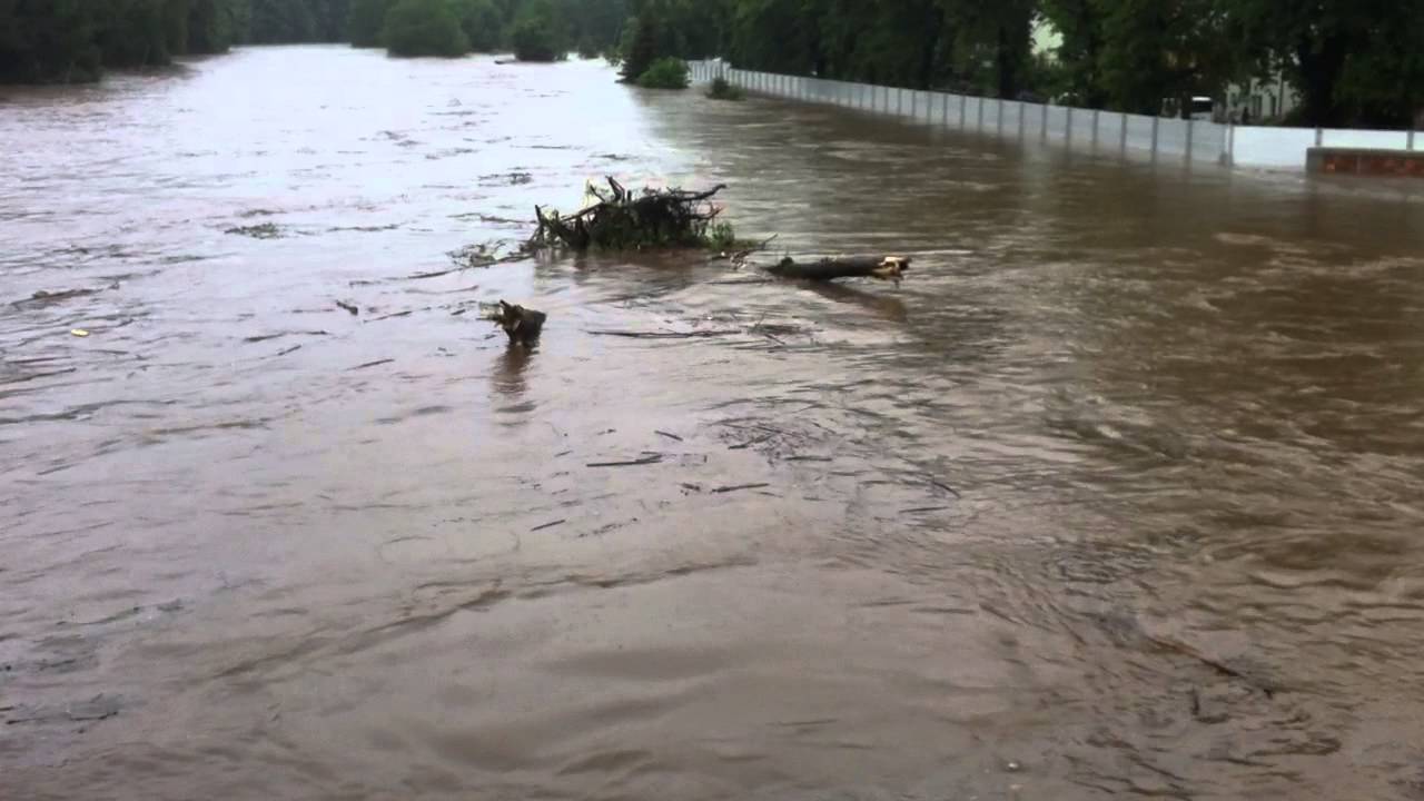 Verzweigte Baumstämme treiben gegen die Muldenbrücke in Rochliz beim Hochwasser der ZwickauerMulde