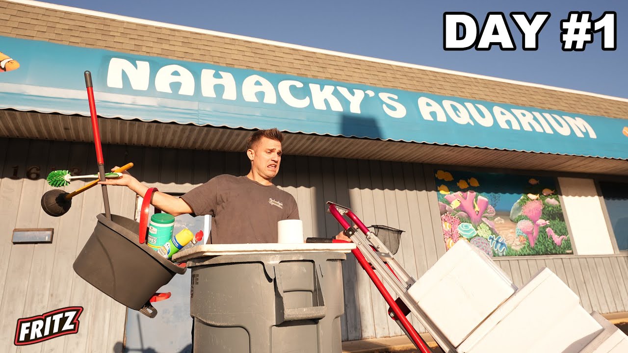Nahacky's Aquarium | A Day In The Life Of An Aquarium Store