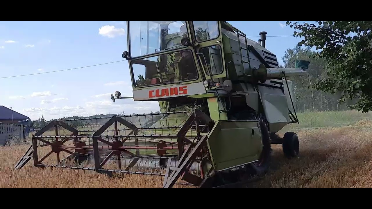 Claas Mercator 75 ,, Zetor 9540 , Autosan  d47 , Koszenie jęczmienia ozimego 2022