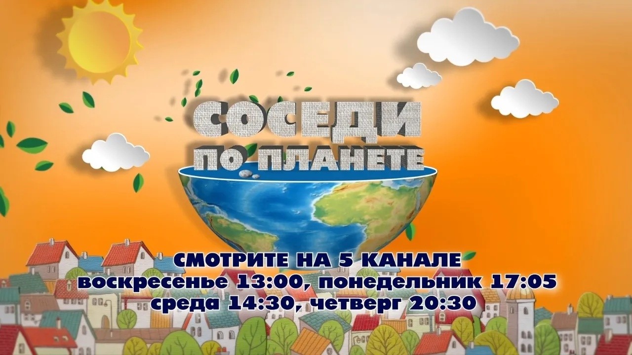 Рубен Казарян и животные-невидимки: как социальная журналистика меняет мир