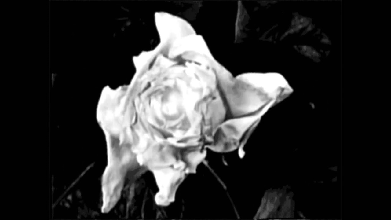 Deerhunter - What Happens To People ♱ [slowed & reverb] 
