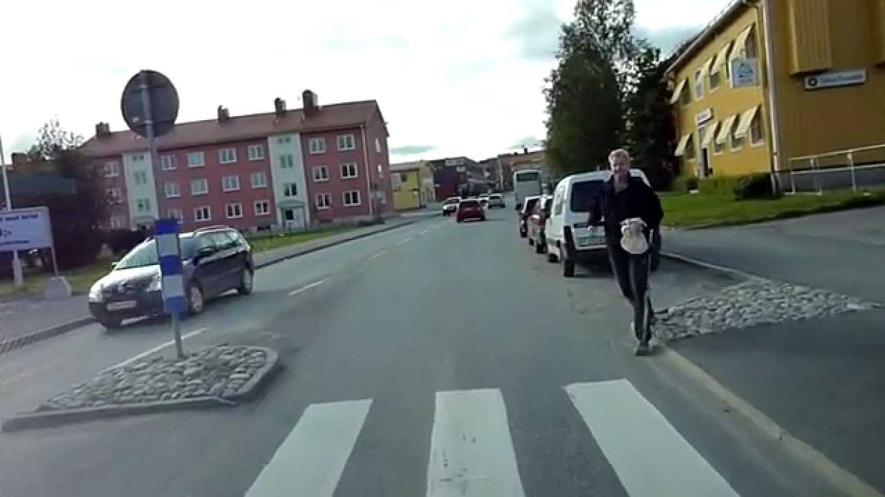 A Drive Through Vilhelmina