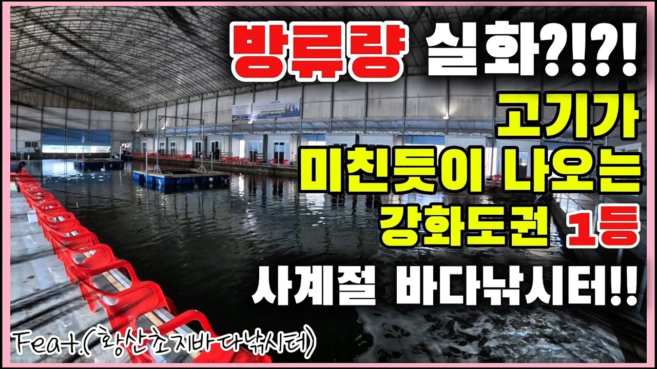 한겨울에 어디가서 낚시할래?? 난 여기서 해!! 새롭게 바뀐 황산초지사계절 바다낚시터 뿌시기!!