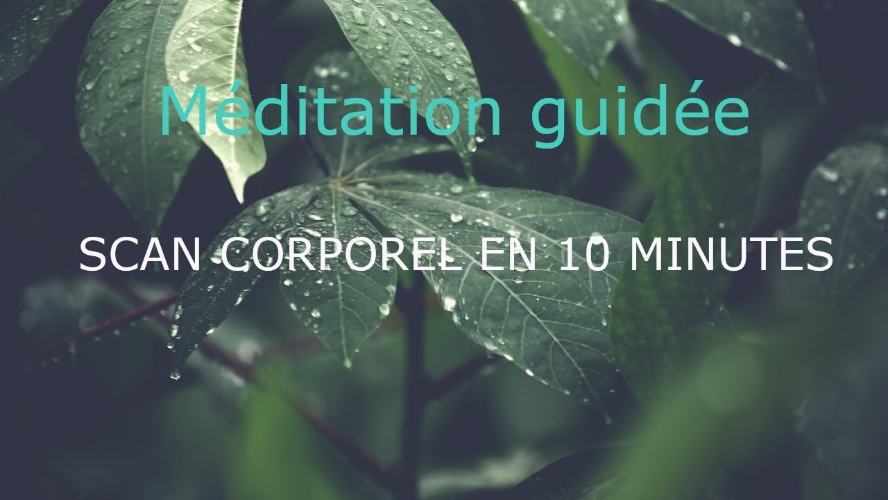 Méditation guidée - Scan corporel en 10 minutes