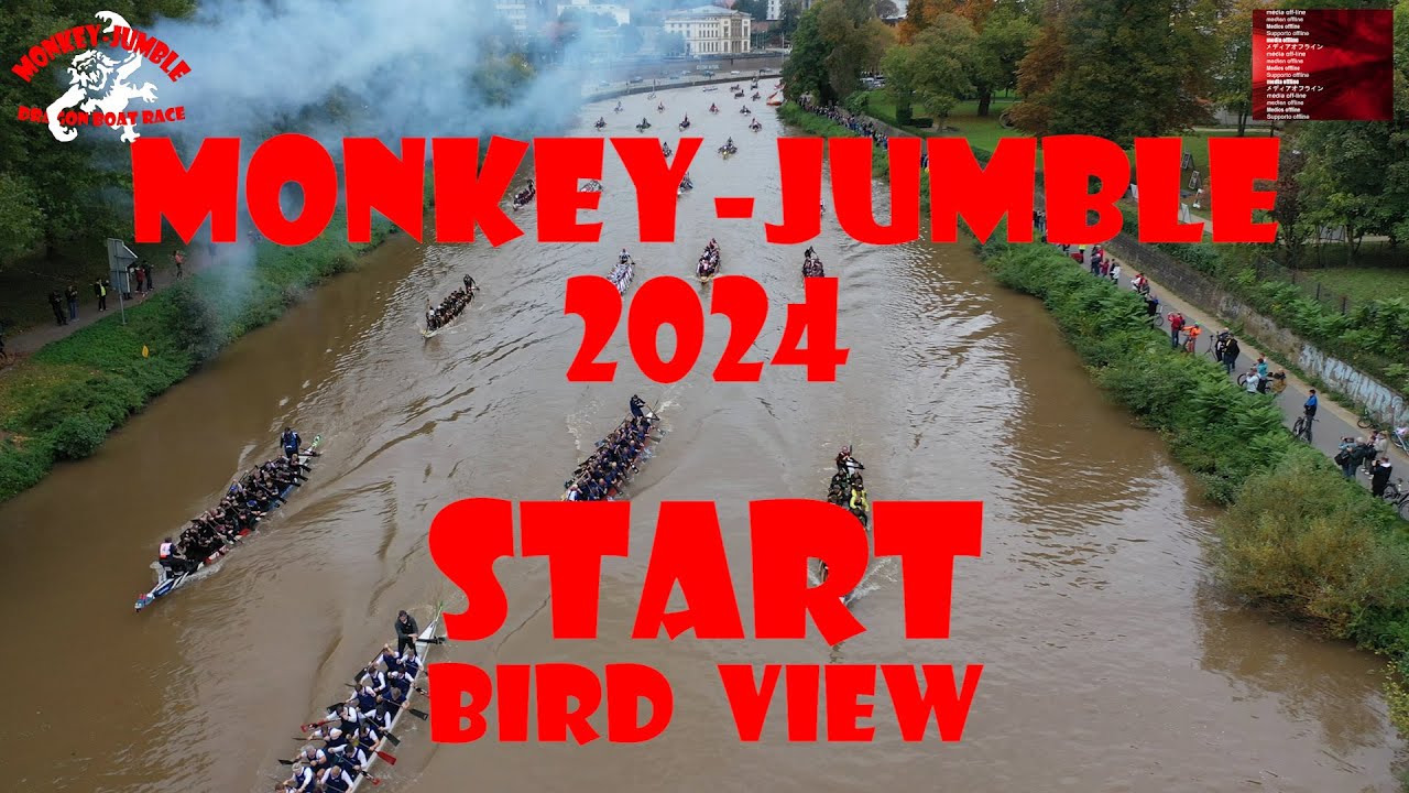 Monkey Jumble 2024 Start Bird View