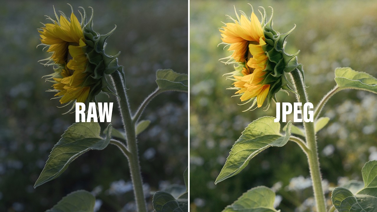 Onko raakakuvissa enää järkeä vuonna 2025?