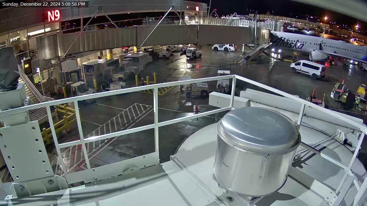 Passenger steps onto wing of Alaska Airlines jet at SEA-TAC airport - RAW VIDEO 4