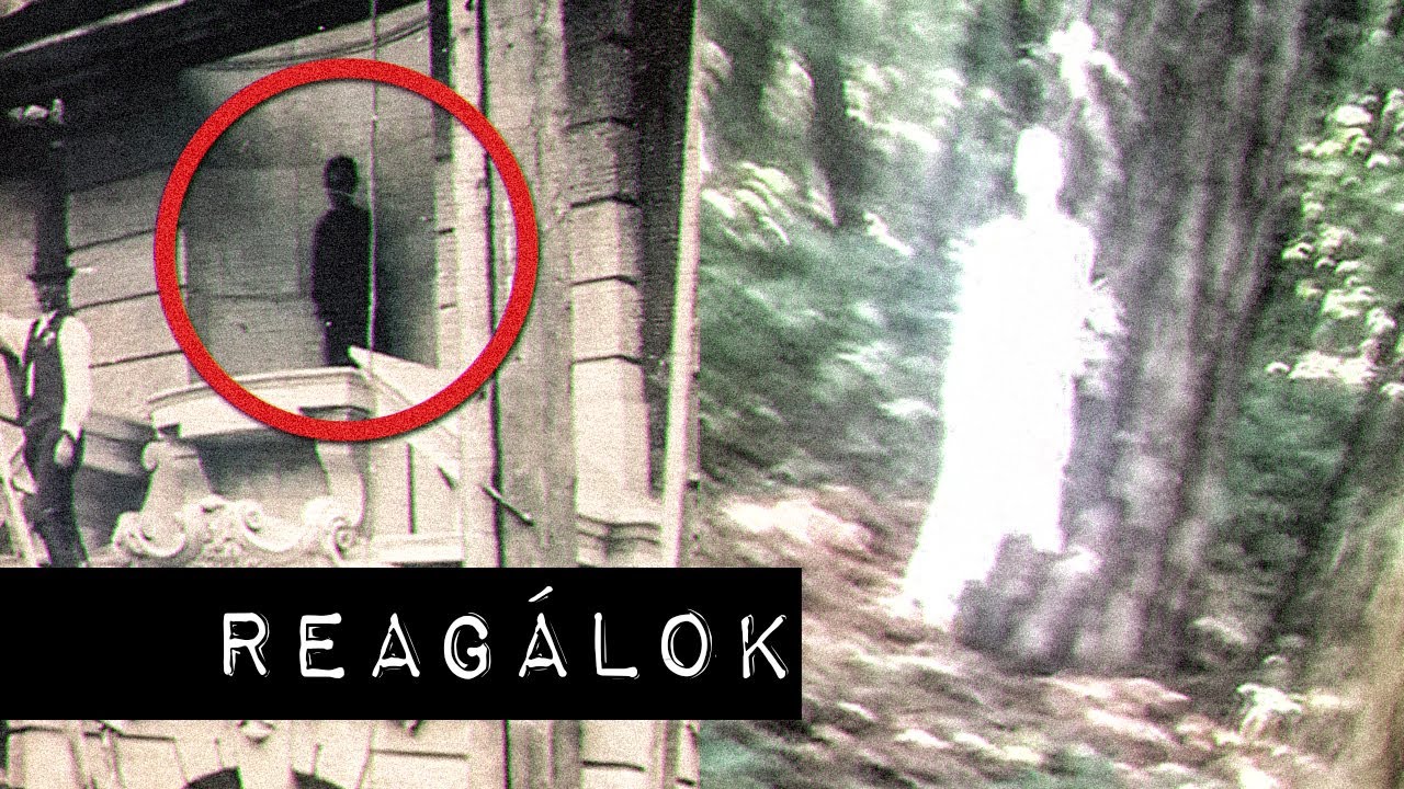 Reag&aacute;lok a n&eacute;zőim PARA vide&oacute;ira/k&eacute;peire #5