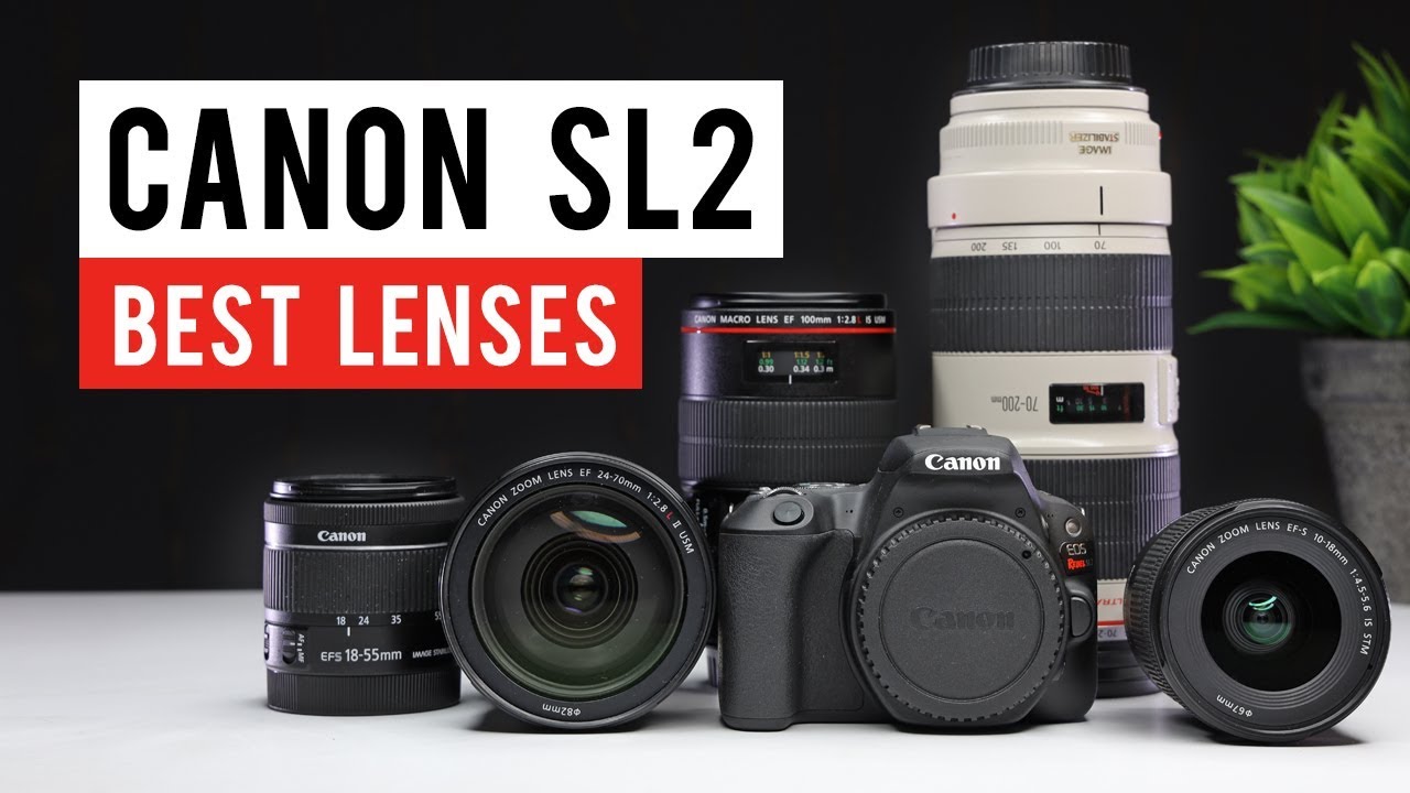 Canon SL2 (200d) Best Lenses