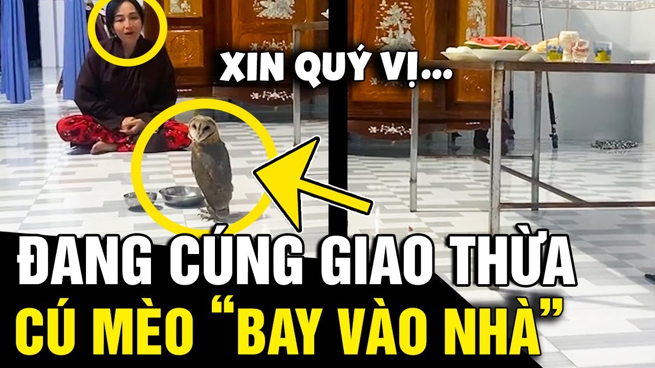 Đang cúng giao thừa 'CÚ MÈO' bay vào nhà, gia chủ liền 'TÂM SỰ' để giải 'VẬN XUI' | Tin Nhanh 3 Phút