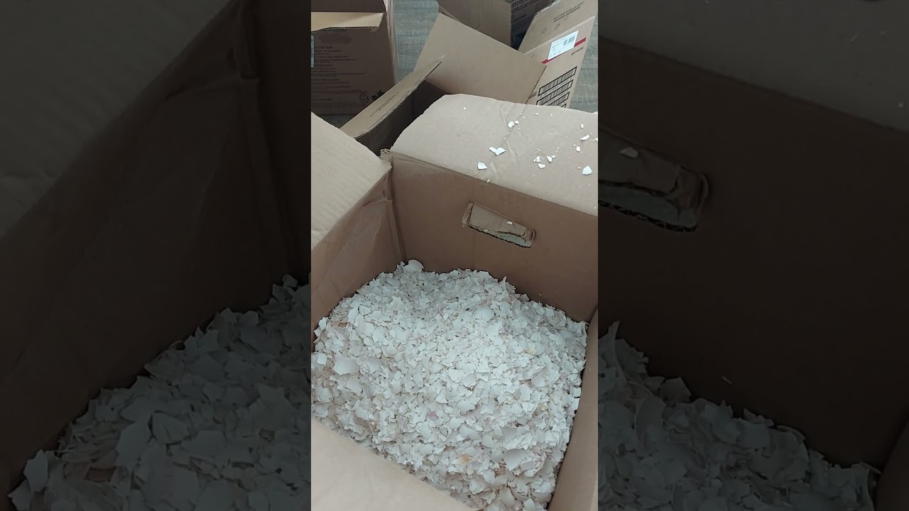 Importance of calcium for birds. Using egg shells